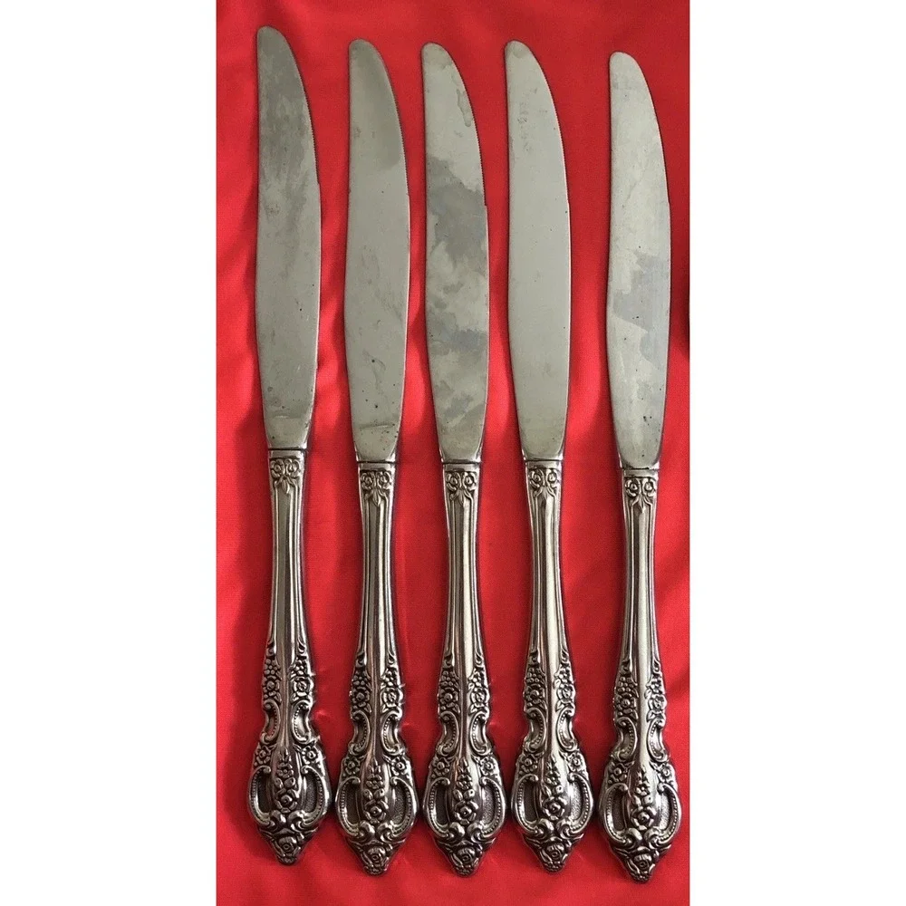 SSS by Oneida Pembrooke Renoir 5 Dinner Knives Stainless Steel USA 9
